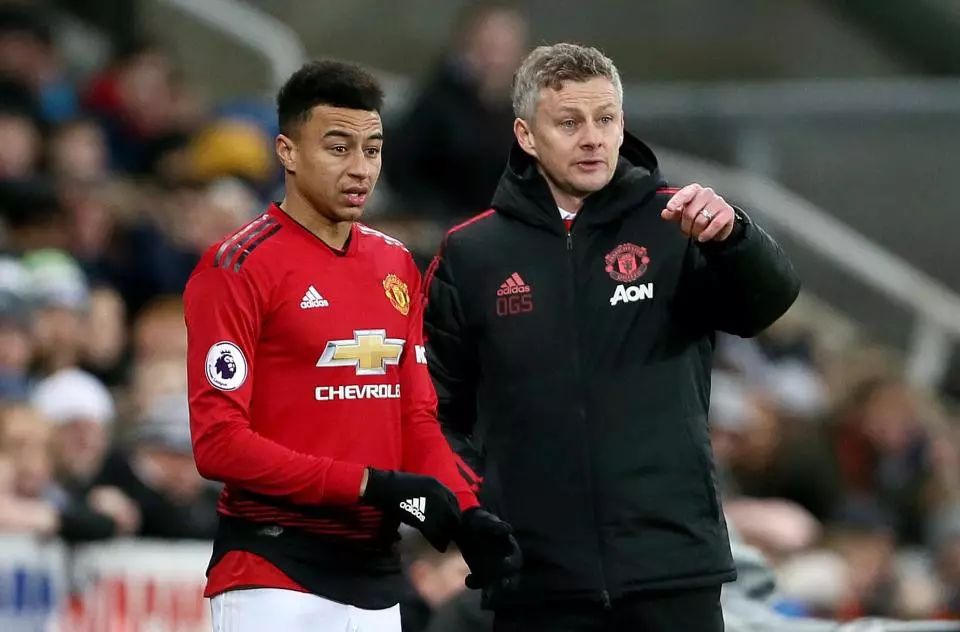 武切维奇后 武切维奇后