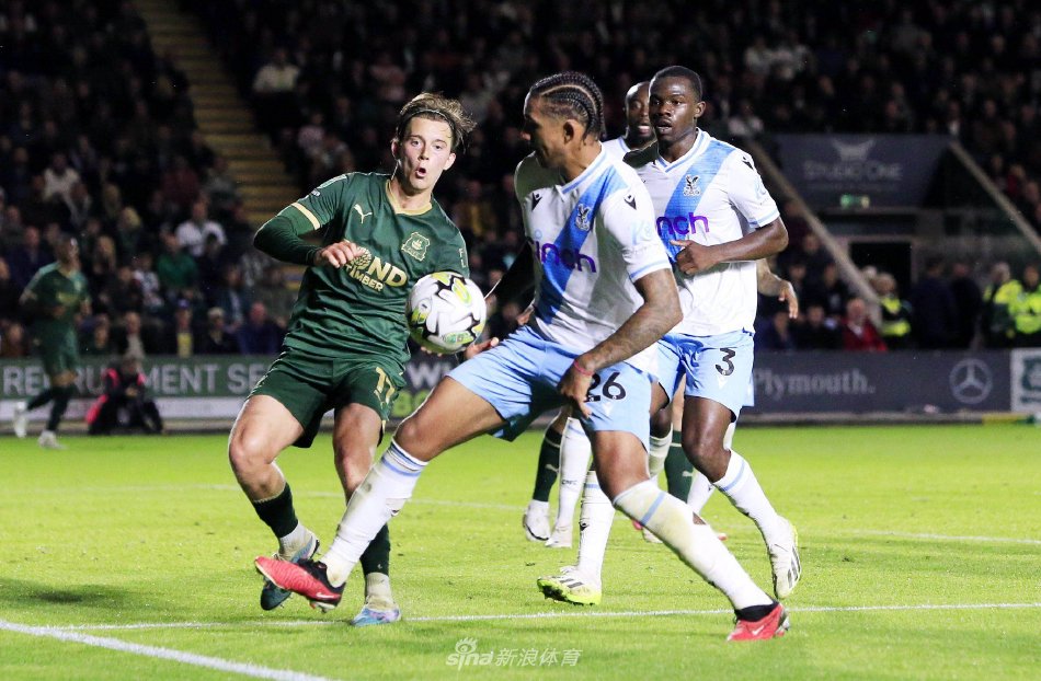 了积极的进 了积极的进